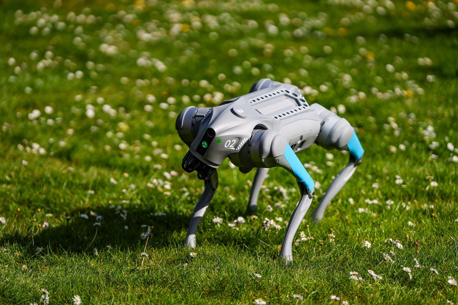 Robothond huren voor presentatie
