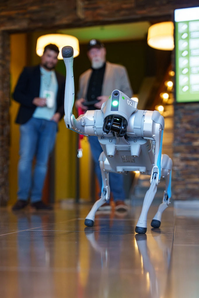 Onze robothonden zijn echte aandachtstrekkers!