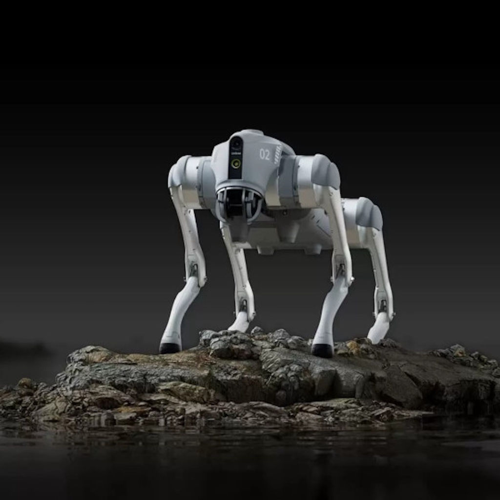 Onze robothond kunt u aan de lijn meenemen voor een wandeling.