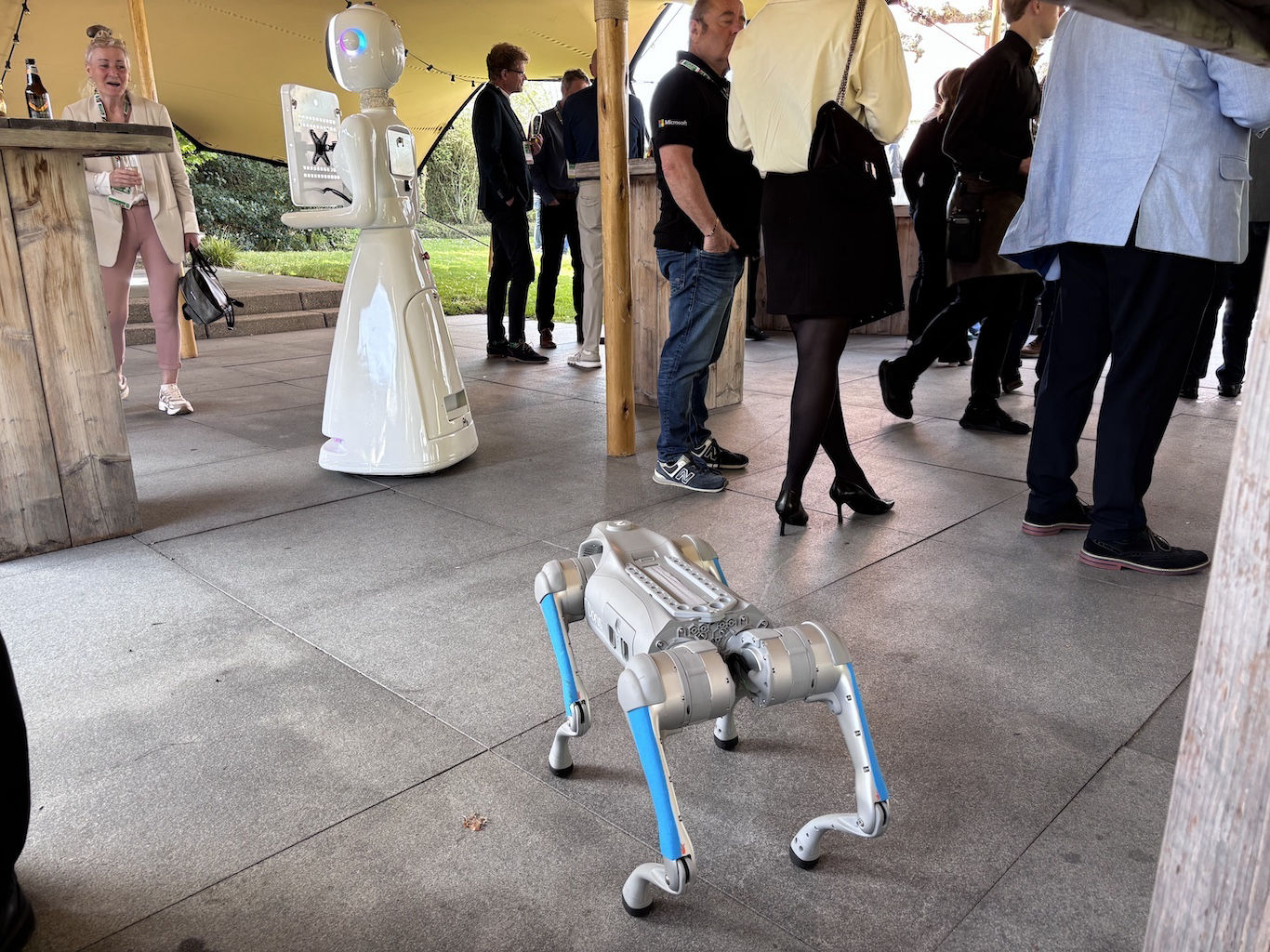 De Unitree GO2 quadruped robothond